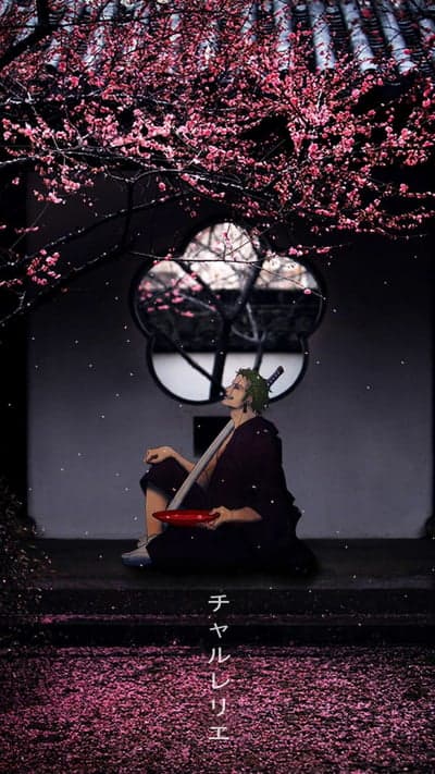 Roronoa Zoro Zen Garden Cherry Blossom Phone Wallpaper