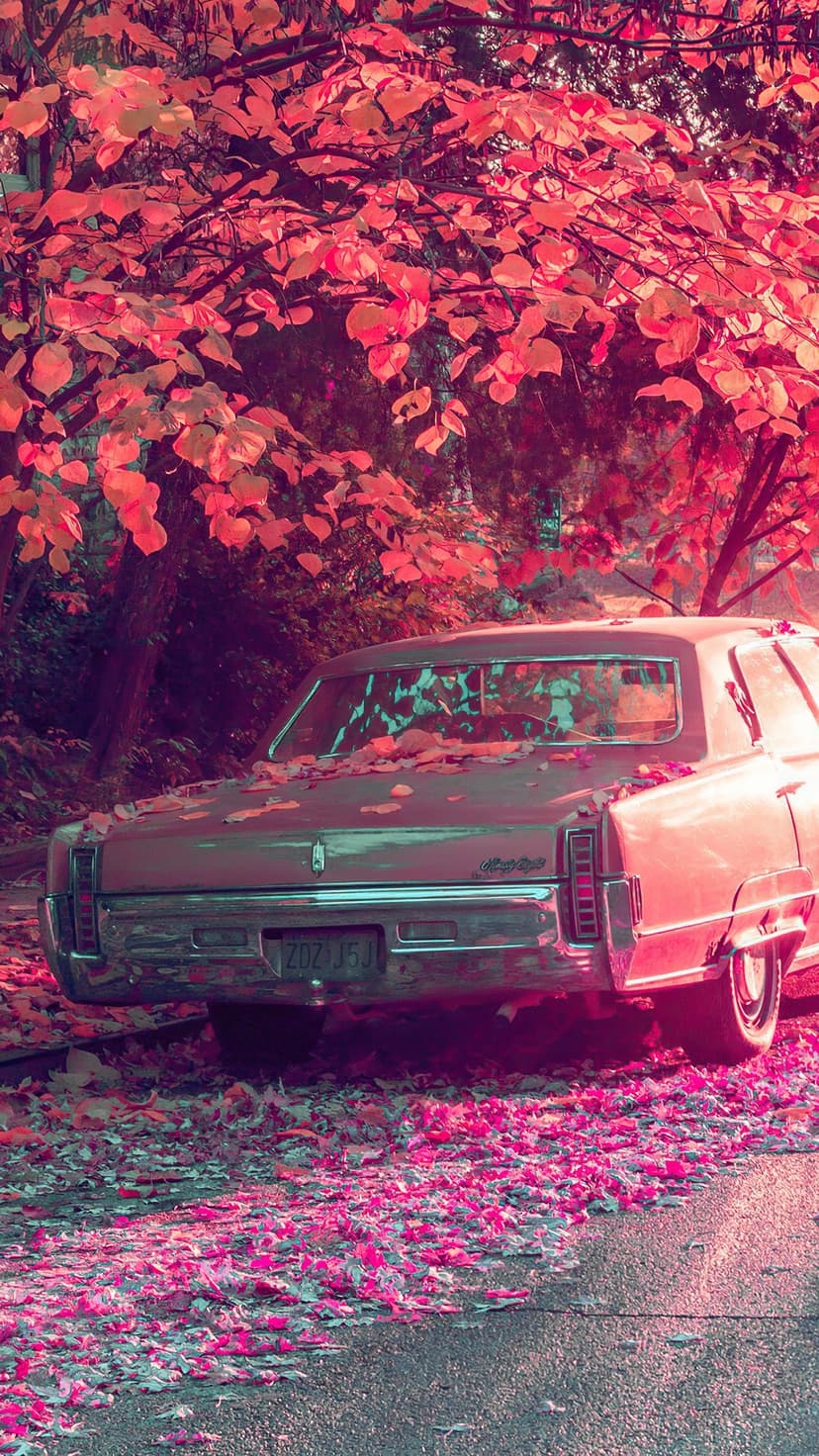 Classic car parked on a road covered in orange autumn leaves under a canopy of vibrant maple trees.