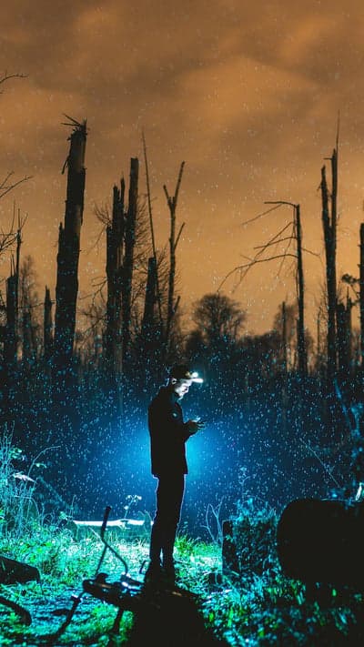 Illuminated in the Wilderness - A Night's Forest Exploration