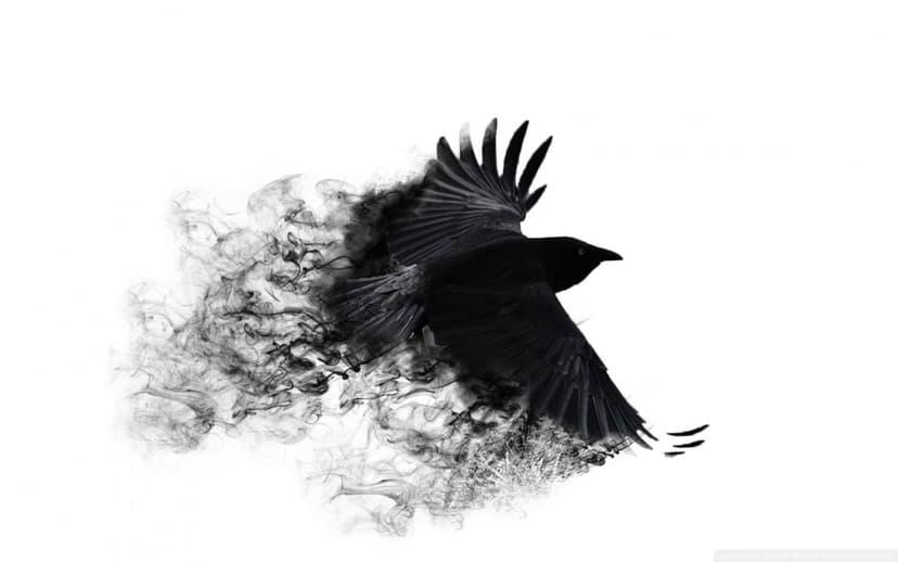 Black crow in flight with its body and wings turning into dark grey smoke against a solid white background.