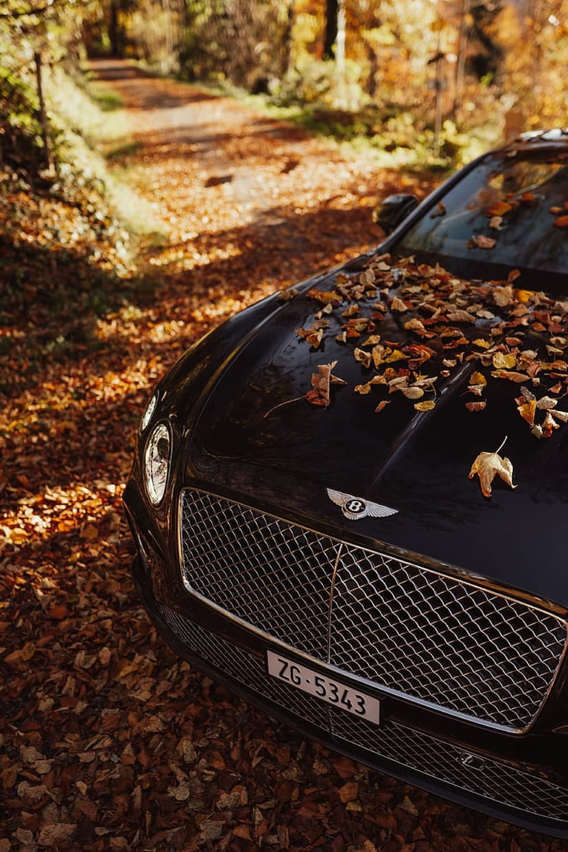 Black Bentley car parked on a winding forest road covered in orange autumn leaves during the fall season.