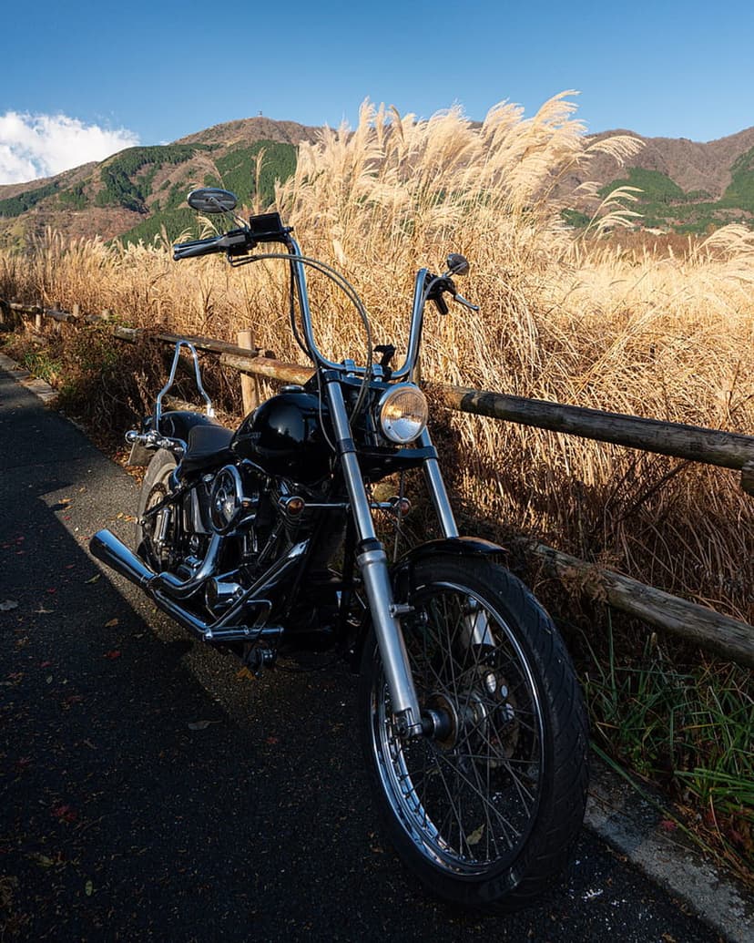 Black Harley Davidson motorcycle parked near golden pampas grass with blue sky and mountains in the background.