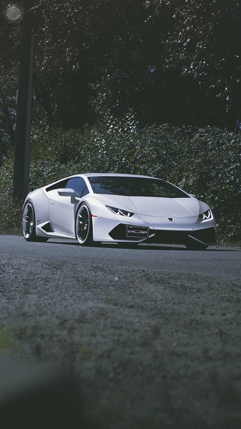 White Lamborghini Huracan parked on a paved road surrounded by dense green forest trees at a low-angle.