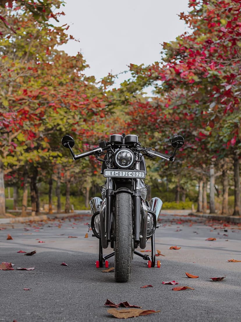 Black motorcycle with glowing headlights parked on an asphalt road covered in fallen red and orange autumn leaves.