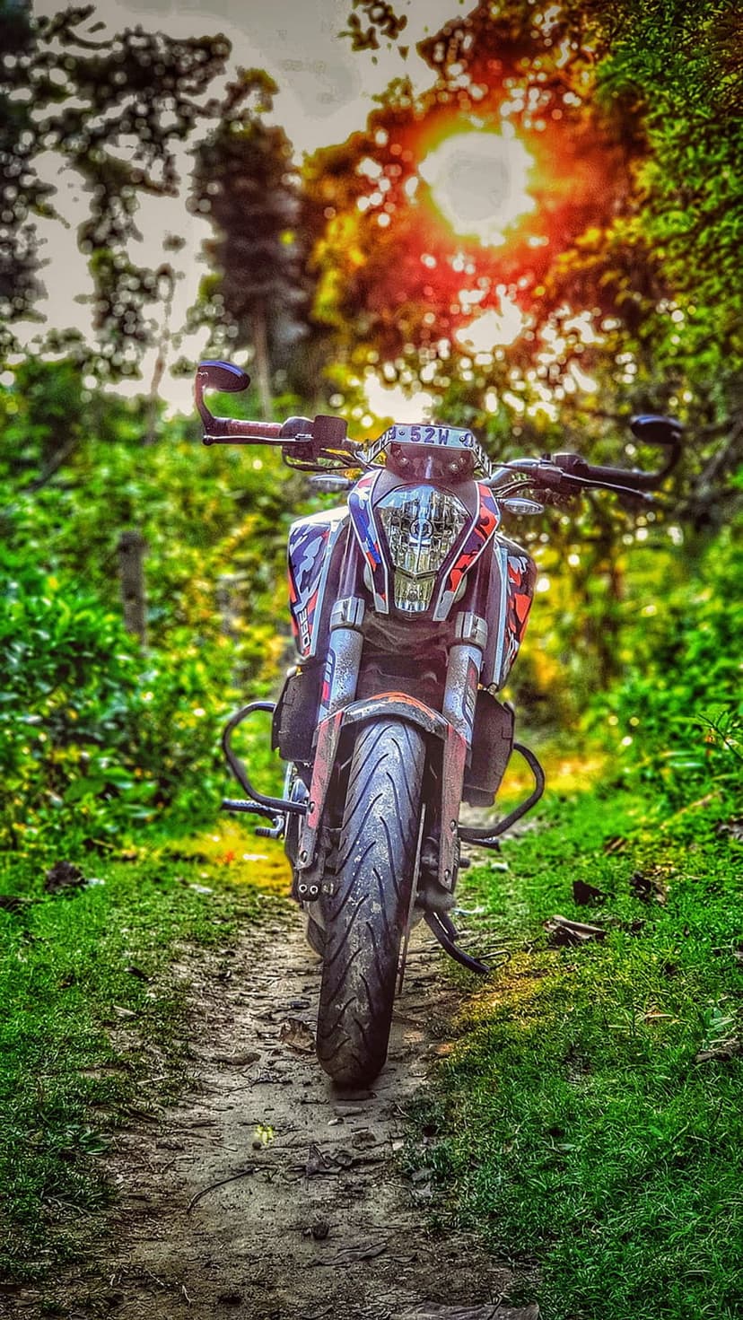 KTM Duke motorcycle on a dirt path in a green forest with golden sunset light filtering through the trees.