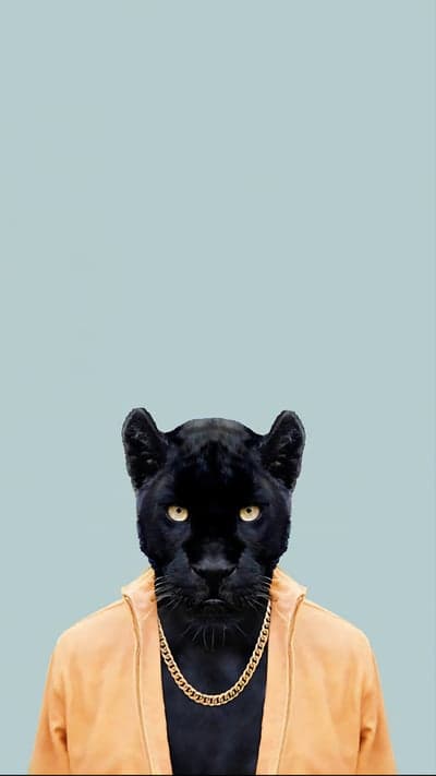 Stylish Black Panther in Orange Jacket with Gold Chain