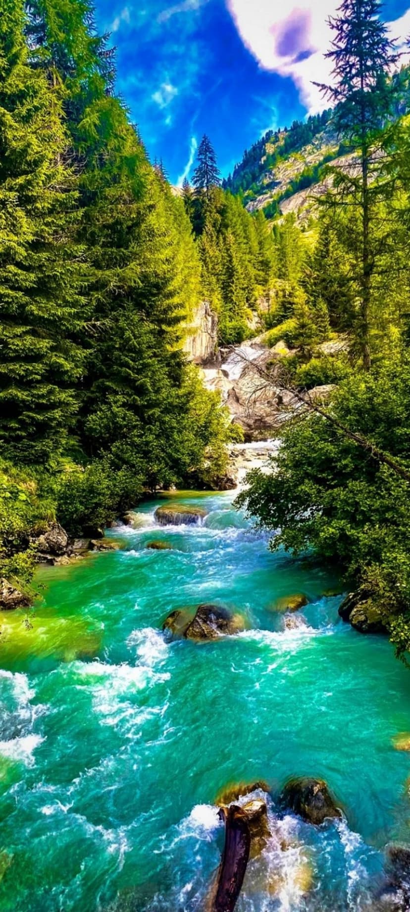 Emerald green river cascading over rocks in a pine forest with mountains and a blue sky in the background.