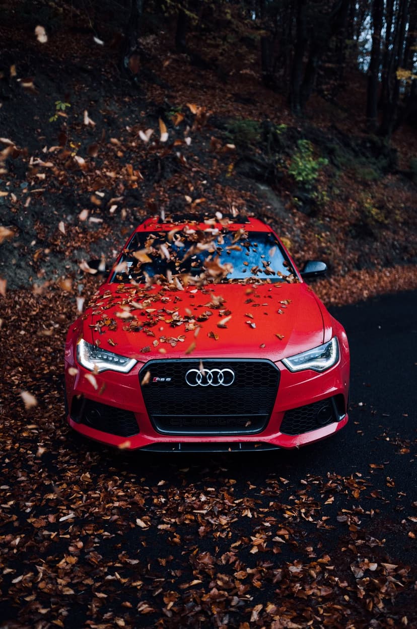 Red Audi RS6 sportscar parked on a dark forest road covered in orange autumn leaves with a misty background.