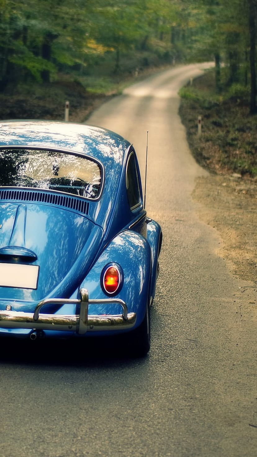 Blue vintage Volkswagen Beetle drives on a winding forest road with dappled sunlight and green trees.