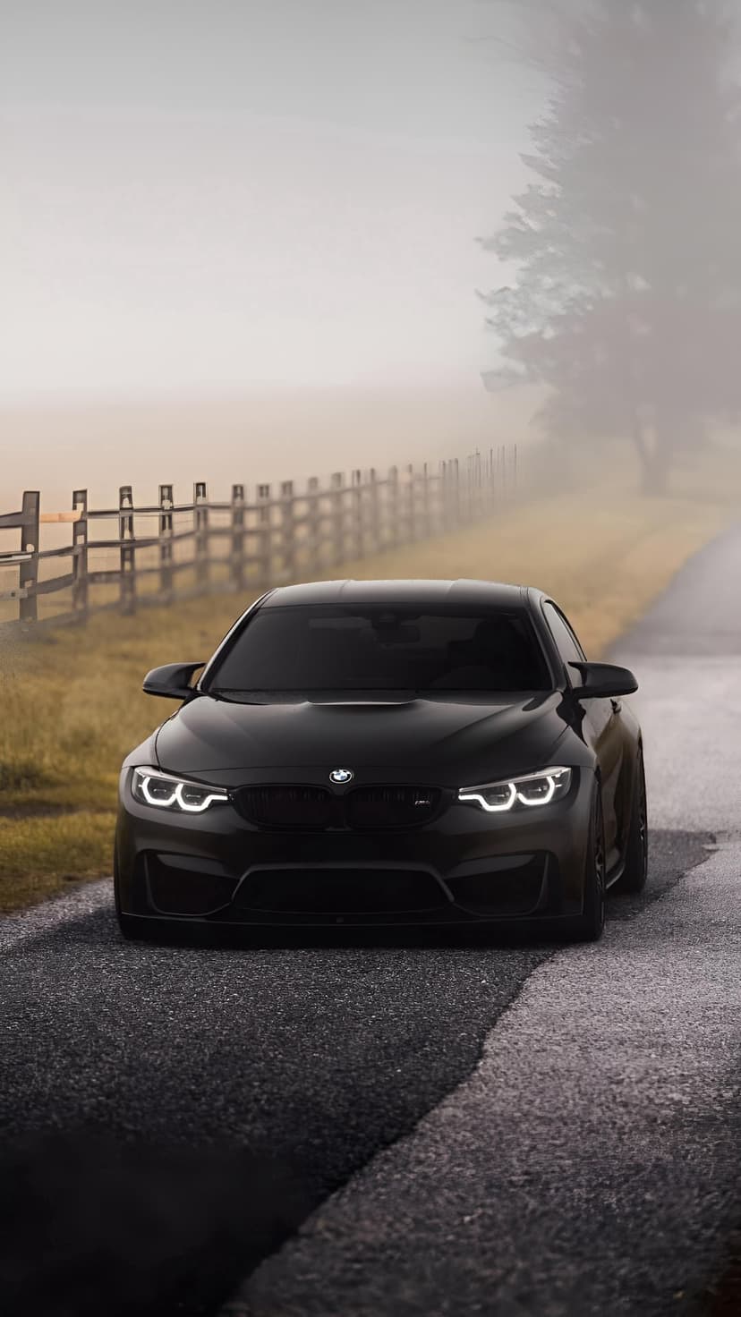 Black BMW M4 parked on a foggy rural road beside a wooden fence with glowing headlights in the morning mist.