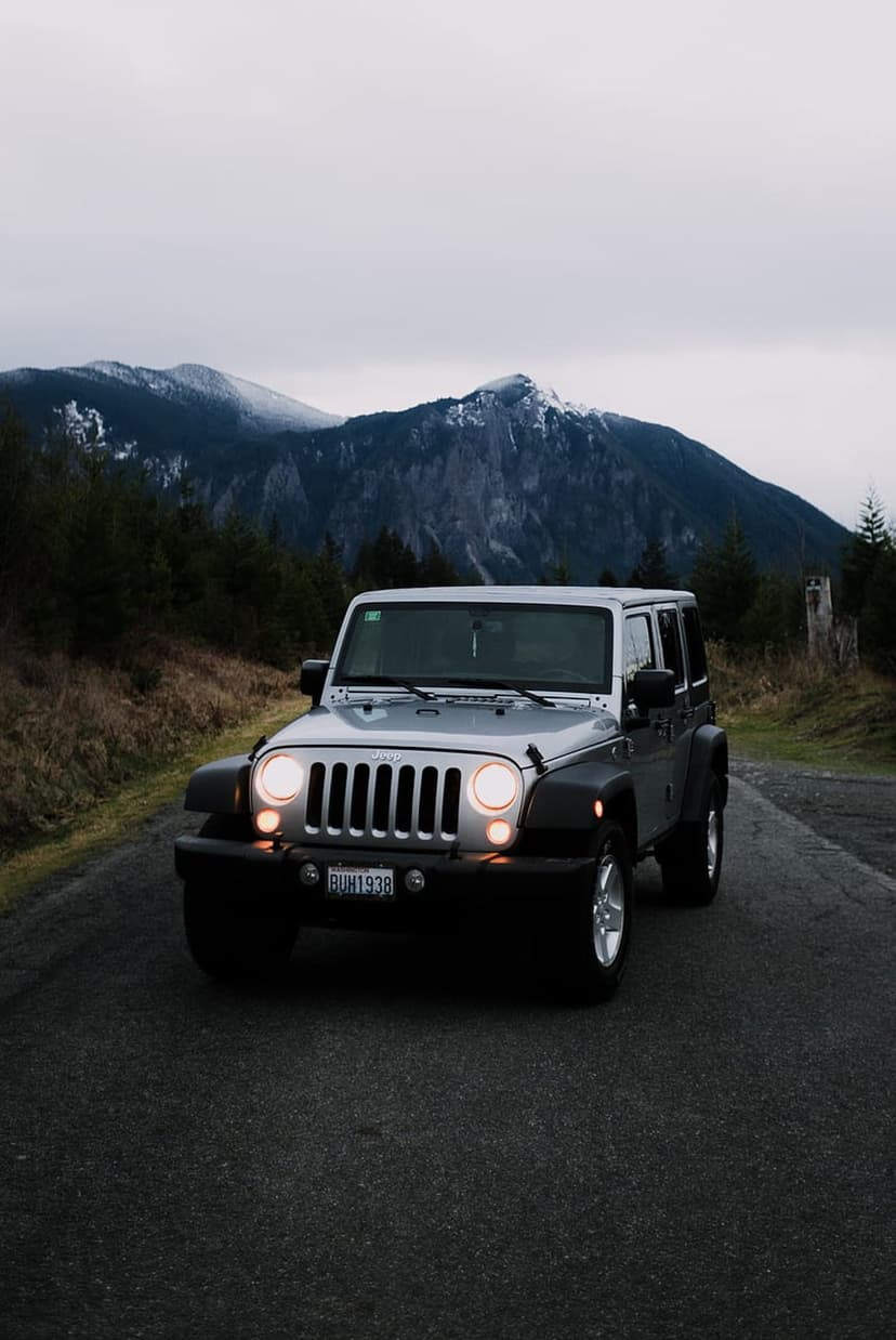 Silver Jeep Wrangler parked on a road facing snow-capped peaks and evergreen trees under an overcast gray sky.
