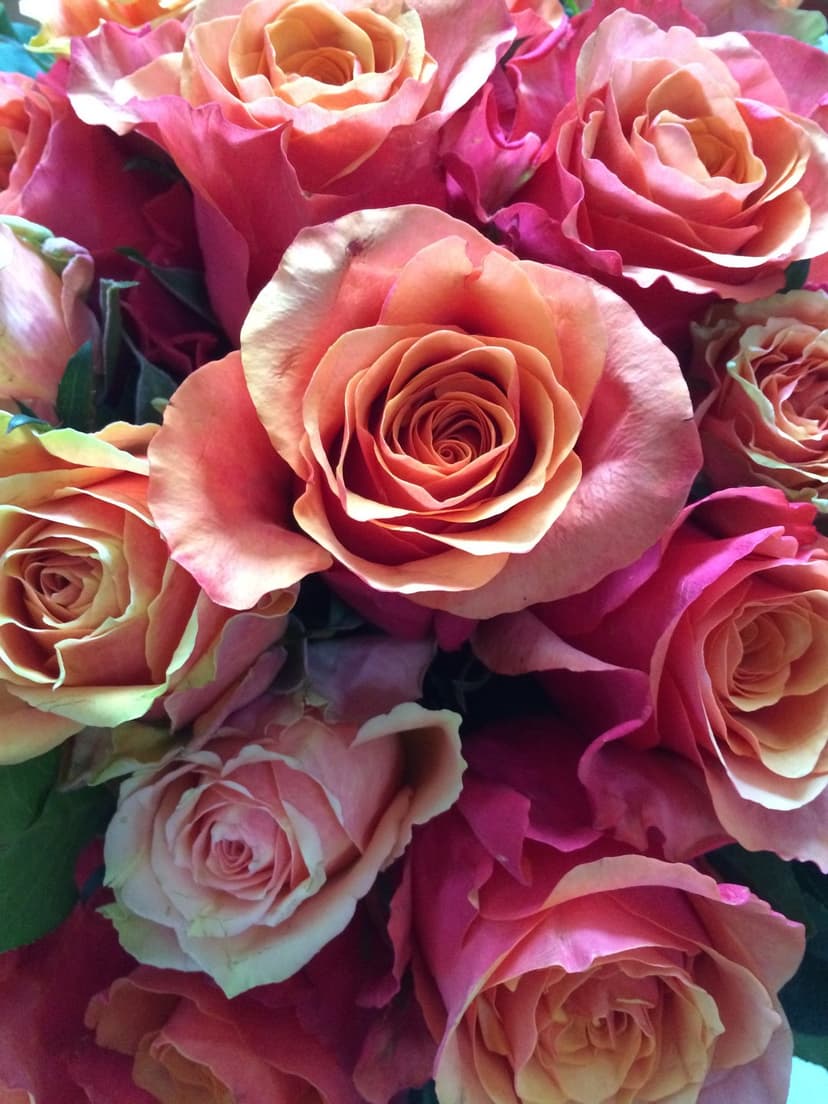Peach and pink roses with ruffled petals tightly packed in a lush floral bouquet under soft lighting.