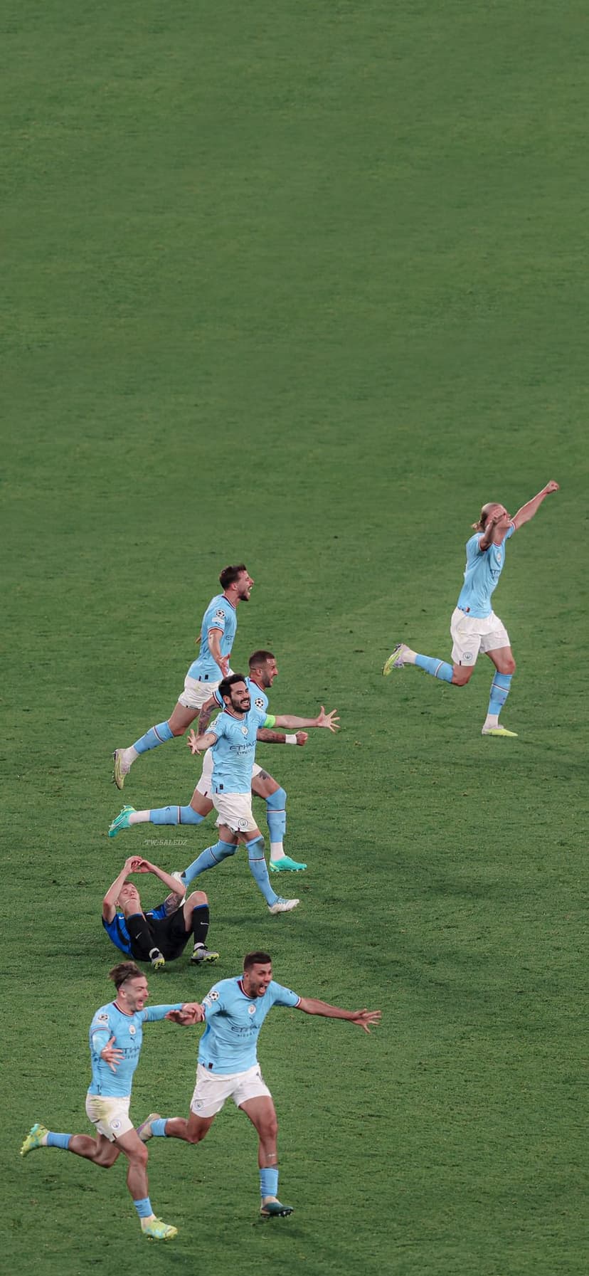 Manchester City players in sky blue jerseys celebrate a win on a green grass field with triumphant gestures.