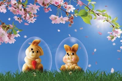 Easter Bunnies in Eggs Under Cherry Blossoms