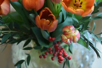 Vivid Orange Tulip Bouquet Mobile and Tablet Wallpaper