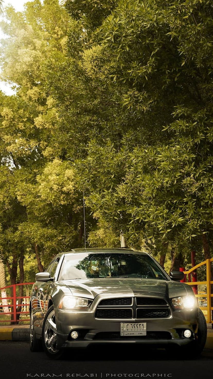 Silver Dodge Charger with glowing headlights parked in a dense green forest from a low-angle perspective.