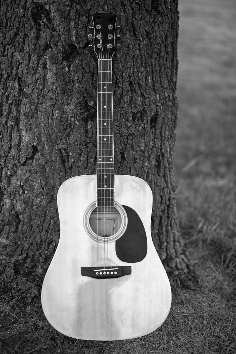 Acoustic guitar with visible strings leaning against textured tree bark in a blurred grassy field outdoors.