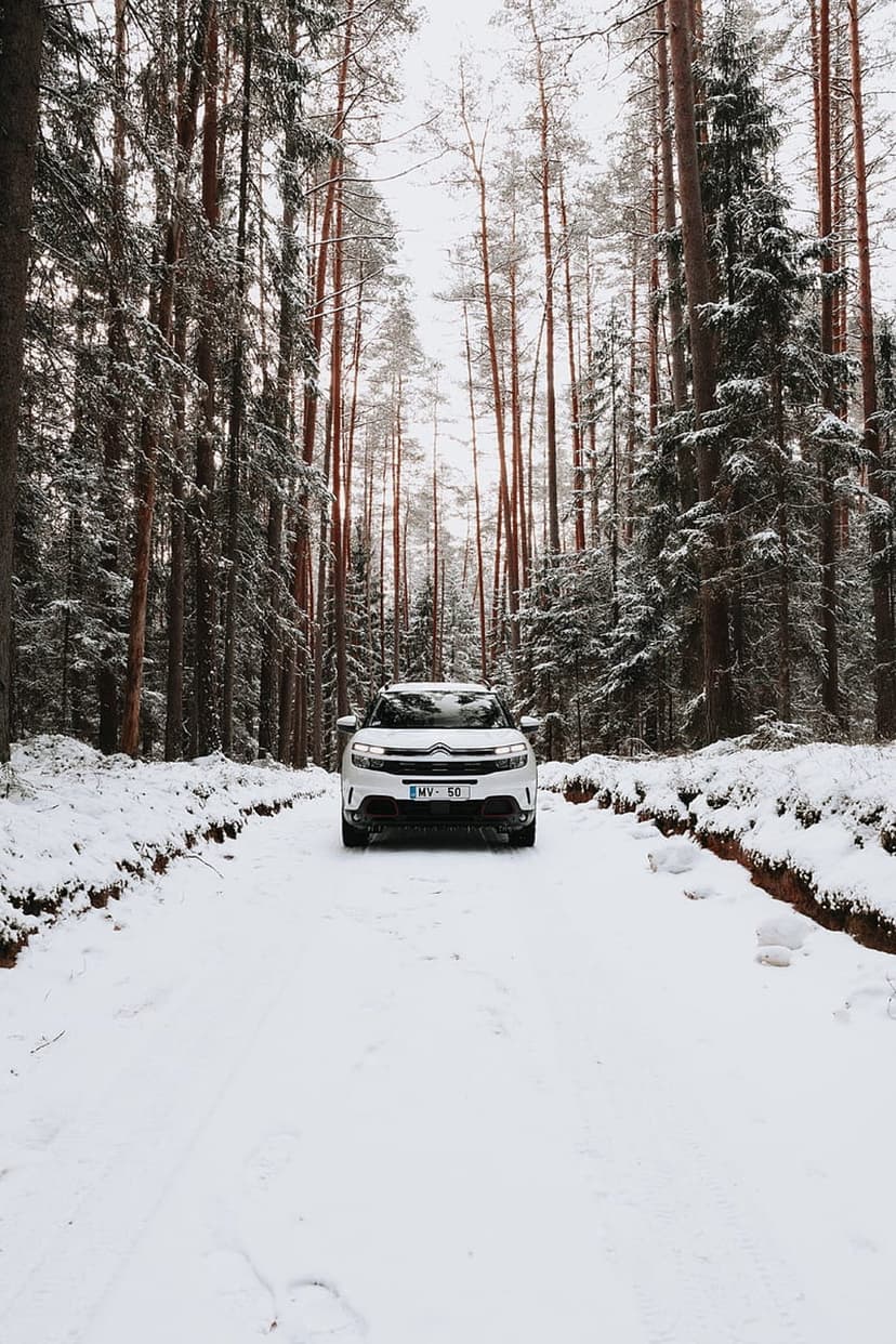 White car driving on a snow-covered forest road between tall pine trees during a serene winter morning landscape.