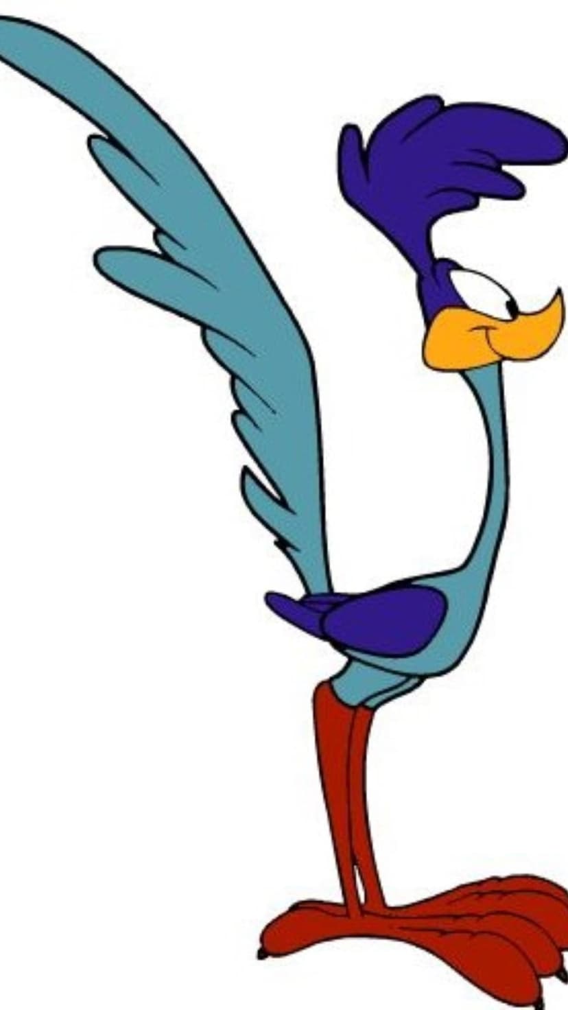 Road Runner bird with blue feathers and orange beak stands in profile against a solid white background.