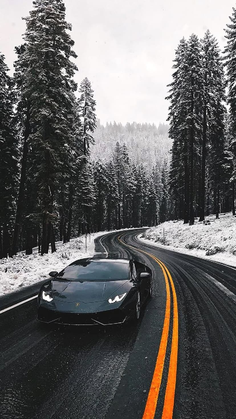 Black sports car driving on a wet winding road between snow-covered pine trees during a cold winter day.