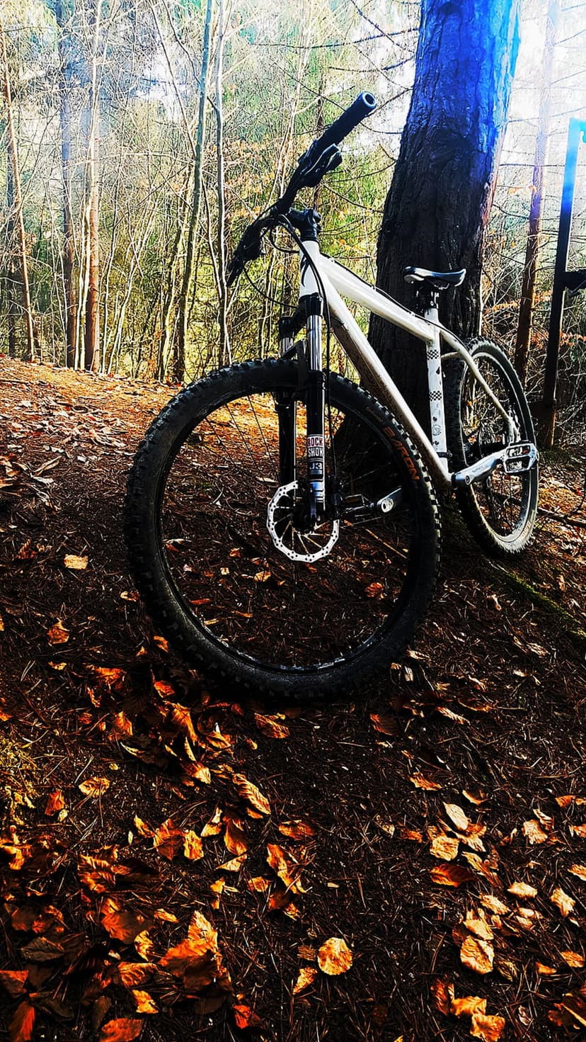 White mountain bike leaning against a tree in a forest filled with orange autumn leaves under soft sunlight.