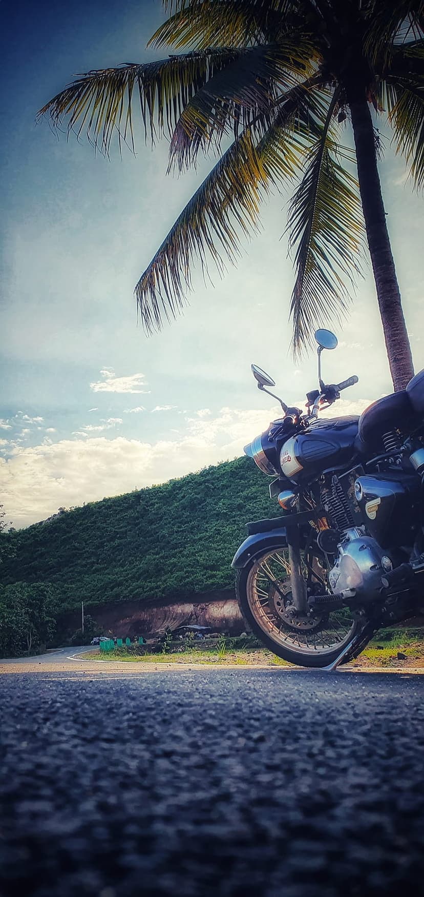 Dark motorcycle parked on a road beneath a palm tree with a lush green hill and blue sky in the background.