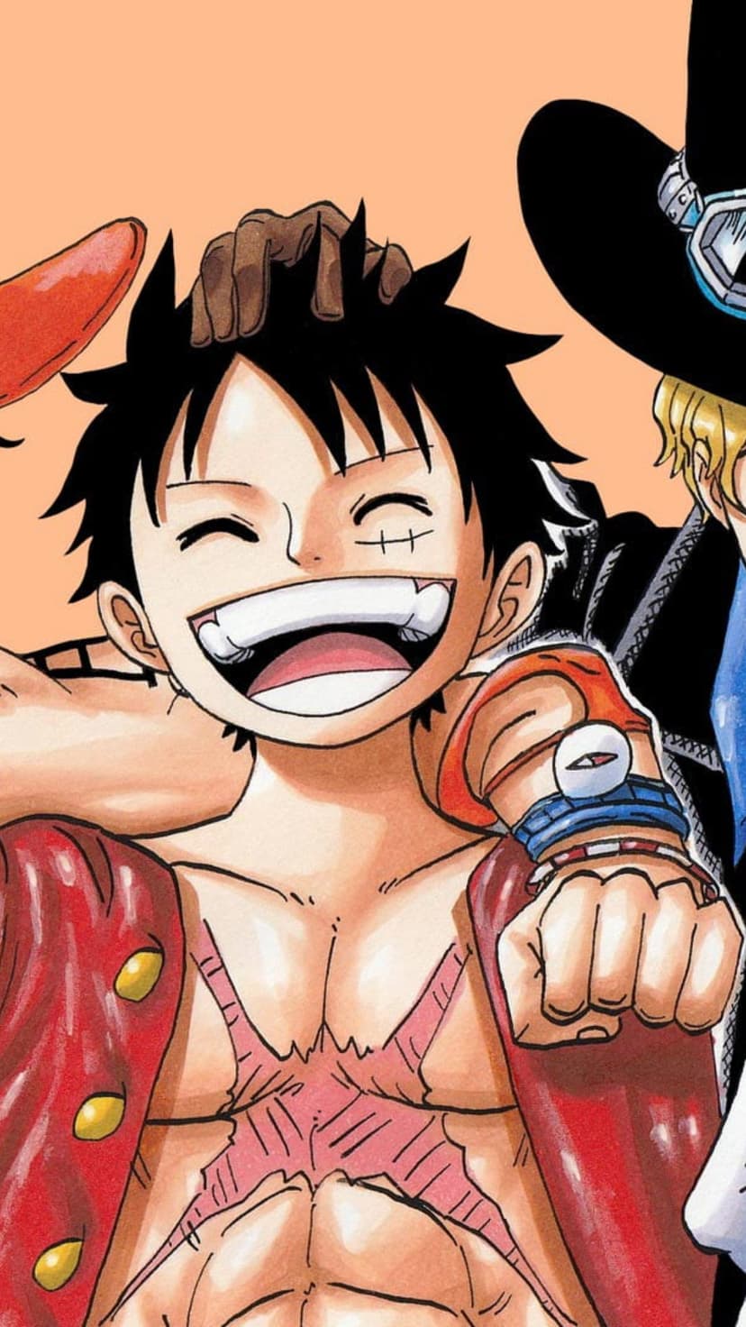 Monkey D. Luffy grins alongside Sabo wearing his signature top hat and goggles in a vibrant vertical portrait.