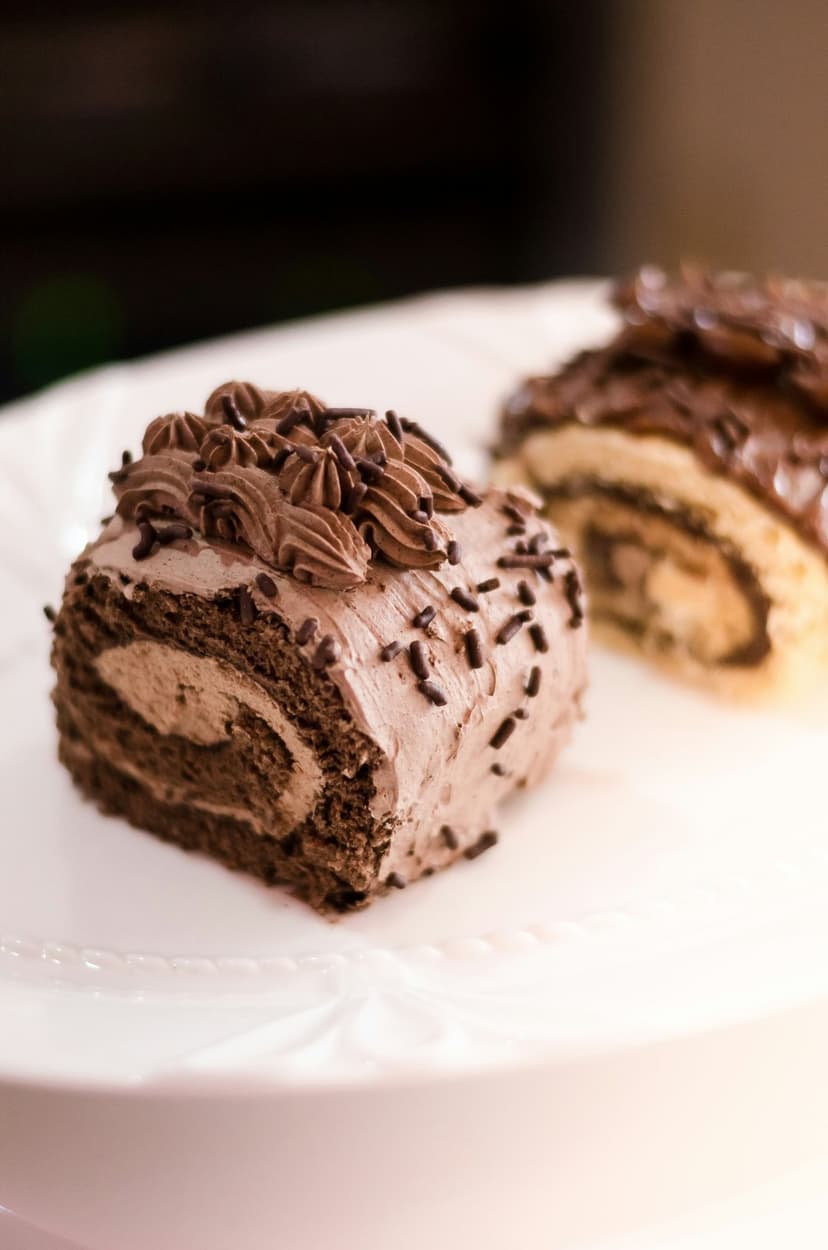 Chocolate Swiss roll slice with dark cocoa frosting and sprinkles shown in a macro food photography style.