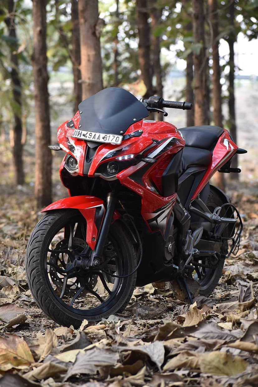 Red Bajaj Pulsar RS200 motorcycle parked on brown fallen leaves in a blurred forest with soft natural lighting.