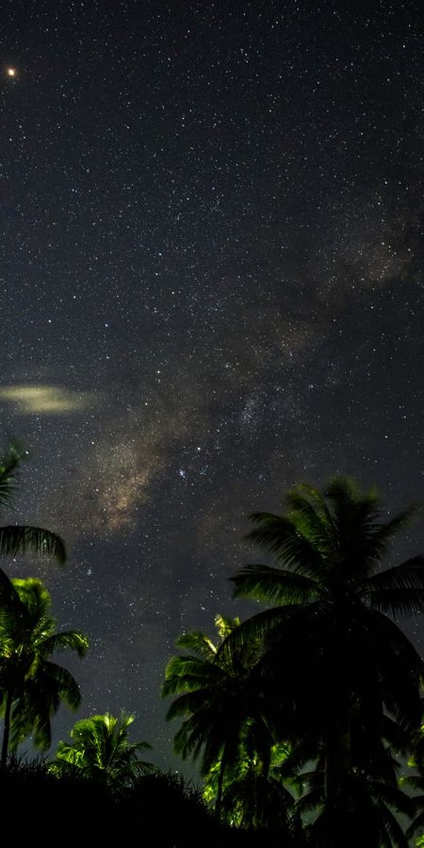 Palm tree silhouettes frame a bright Milky Way galaxy with a glowing planet in a dark tropical night sky.