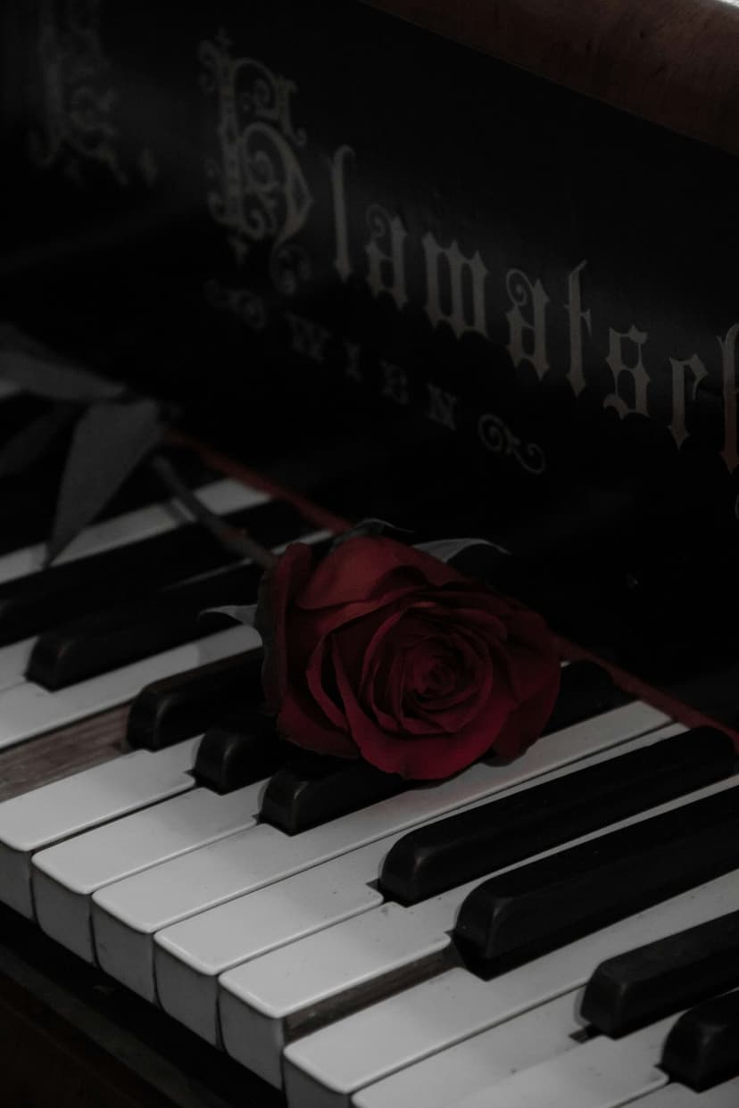 Deep red rose lying across aged ivory and ebony piano keys under soft, dramatic atmospheric lighting.