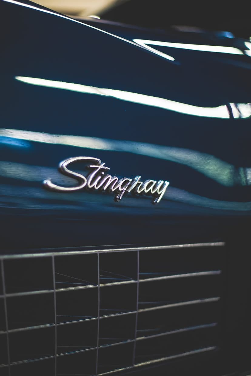 Chrome Stingray script emblem on a reflective navy car body with a textured grille visible in the background.