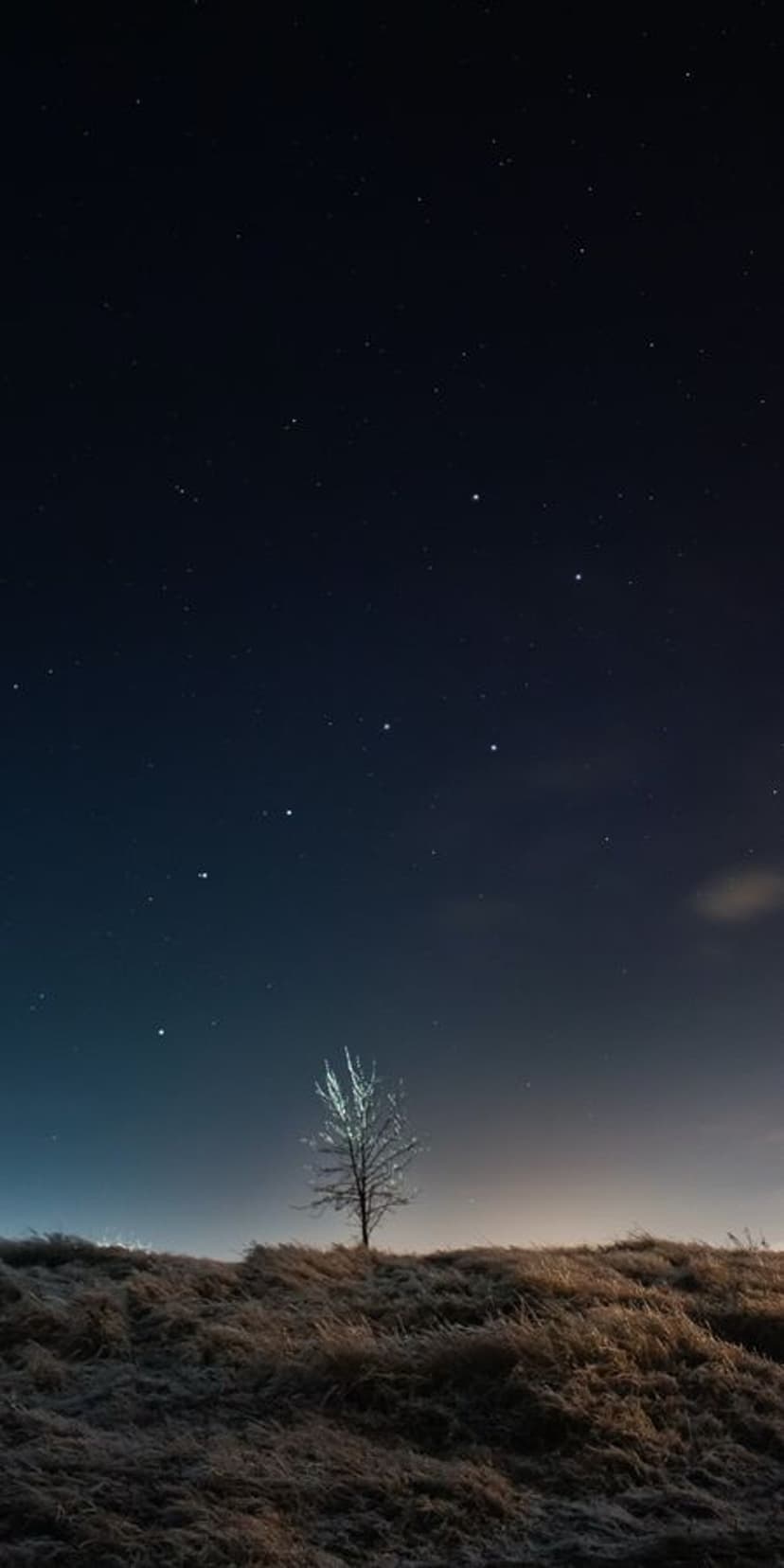 Frosted lone tree on a dark grassy hill under a vast night sky filled with twinkling stars and a soft horizon.