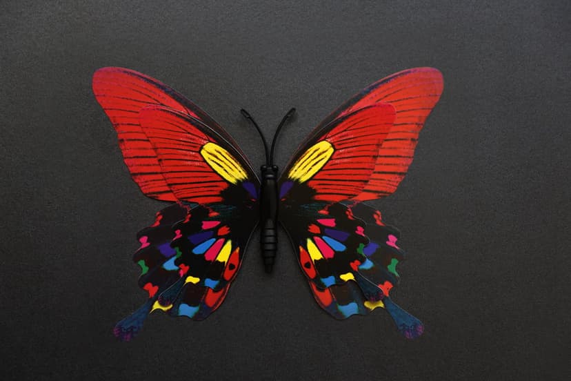 Red butterfly with blue and yellow wing patterns resting centered against a dark textured black background.