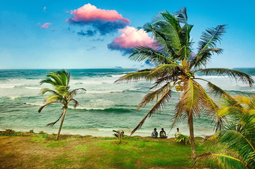Lush green palm trees overlook a turquoise ocean with gentle waves under a sky filled with pink-tinged clouds.