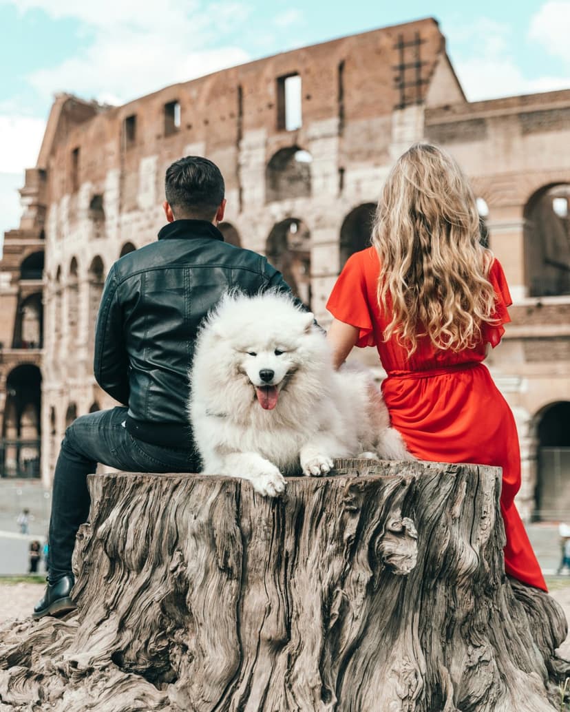 A woman in a red dress and a man with a Samoyed dog sit on a stump before the ancient Roman Colosseum.