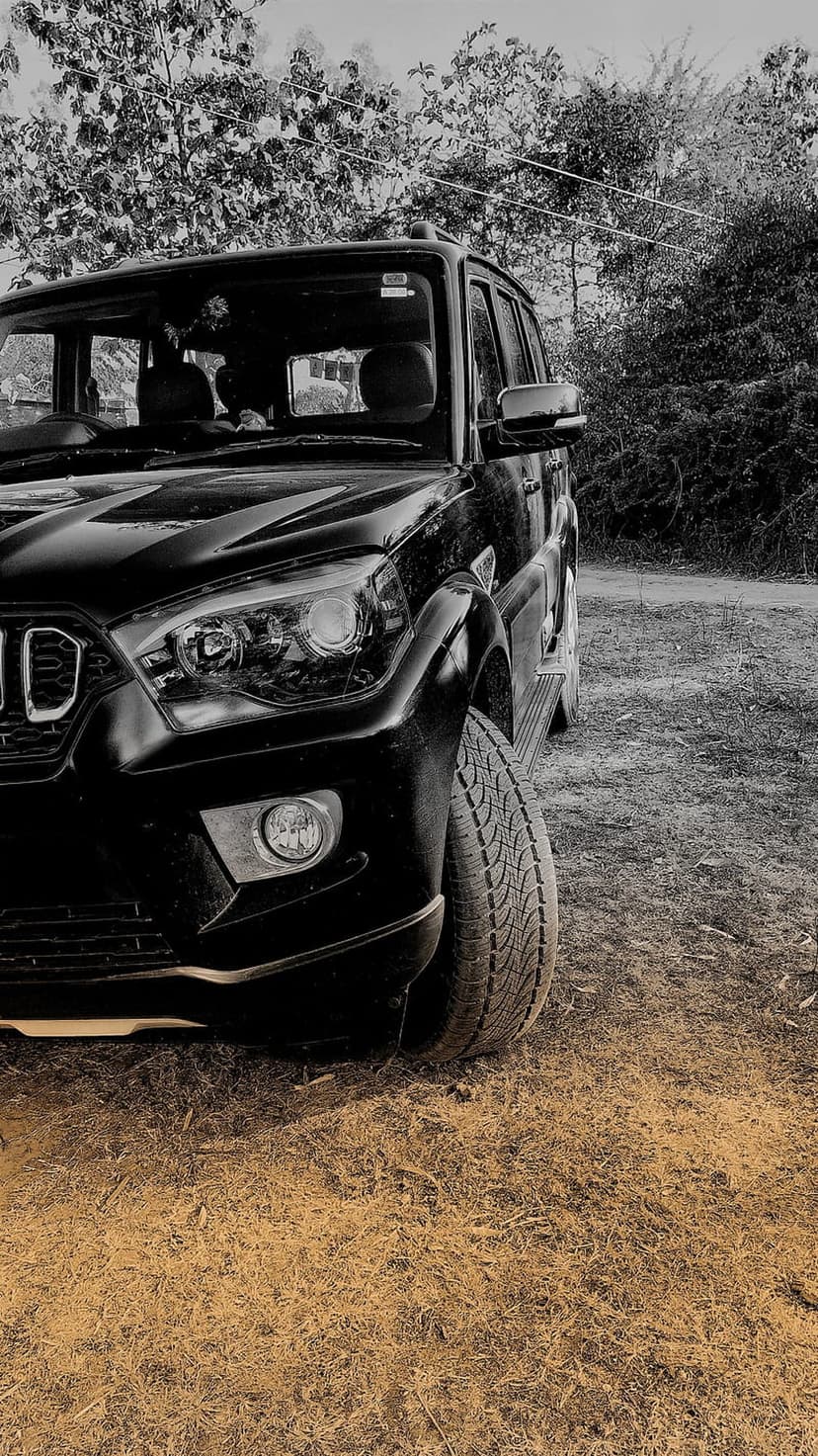Black SUV front grille and LED headlight parked on golden dry grass with a blurred woodland road background.