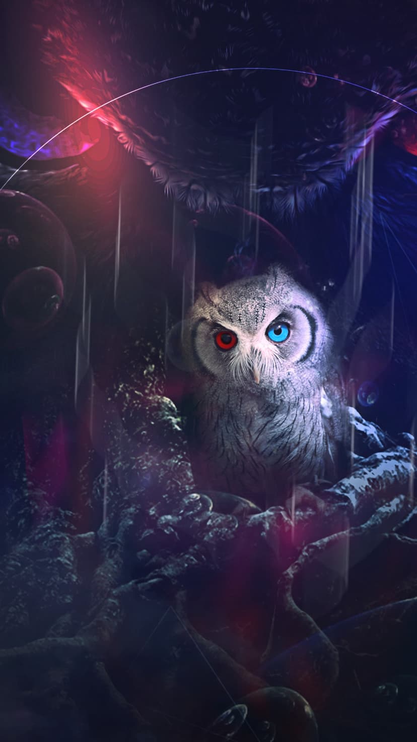 Owl with one red and one blue eye staring from a rainy, dark forest illuminated by purple and red glowing lights.