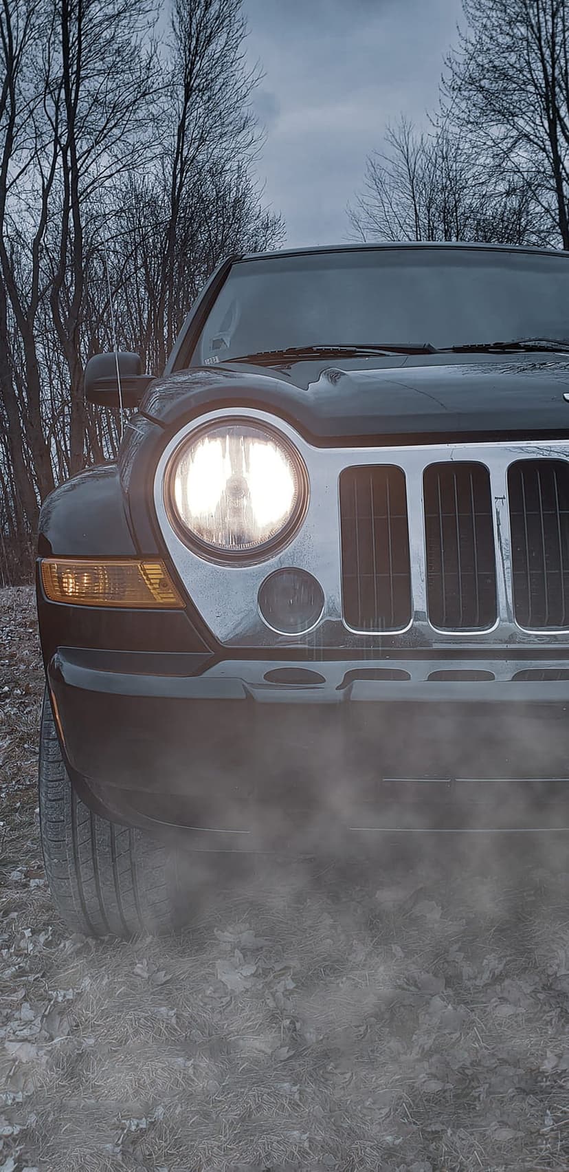 Jeep Liberty headlight illuminates thick ground smoke in a dark forest with bare trees under a cloudy sky.