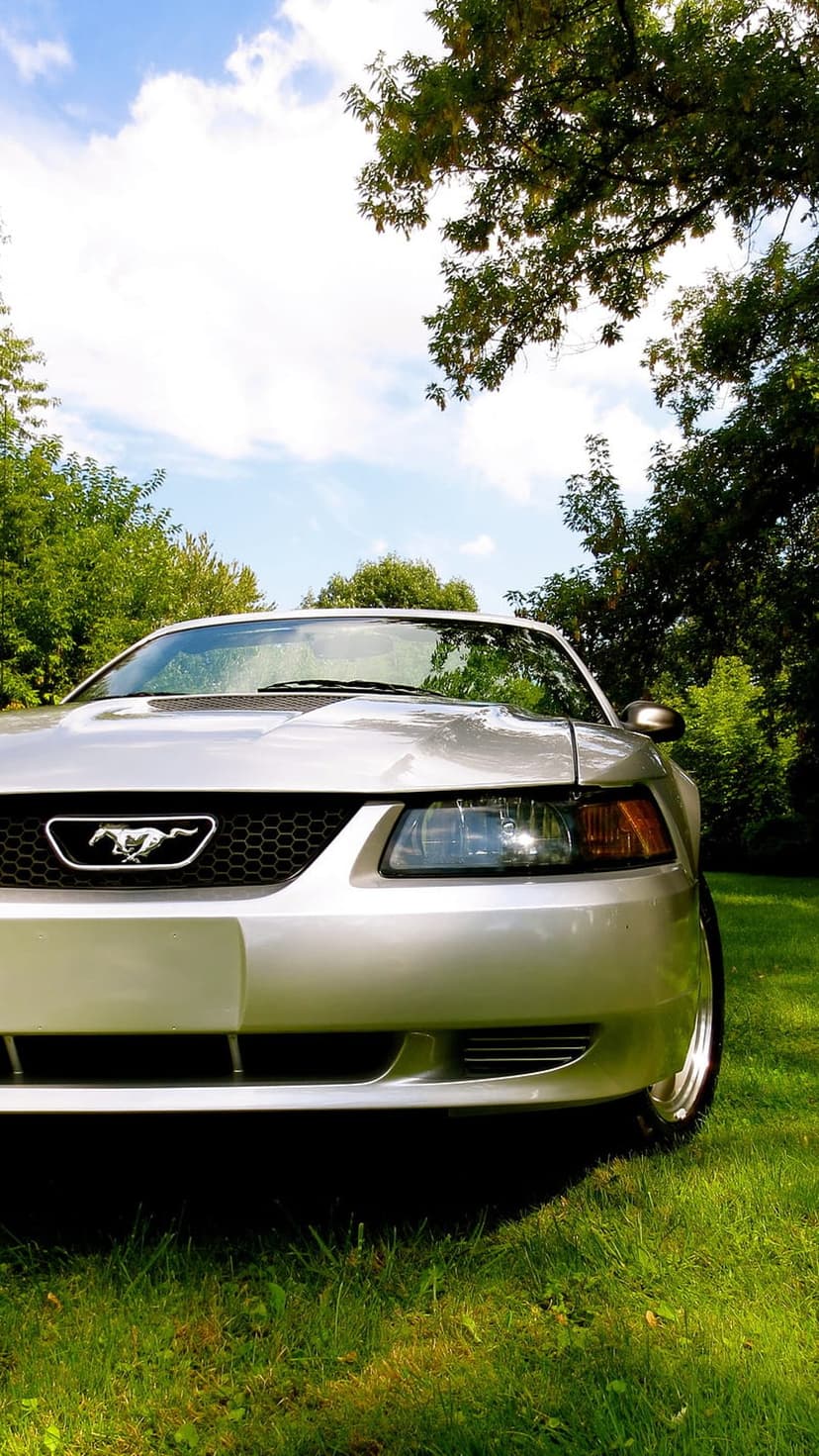 Silver Ford Mustang parked on green grass with a blue sky background, showing the front grille and pony emblem.