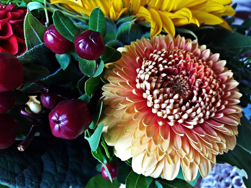 Peach and red Gerbera daisy surrounded by clusters of red berries and green leaves in a macro floral arrangement.