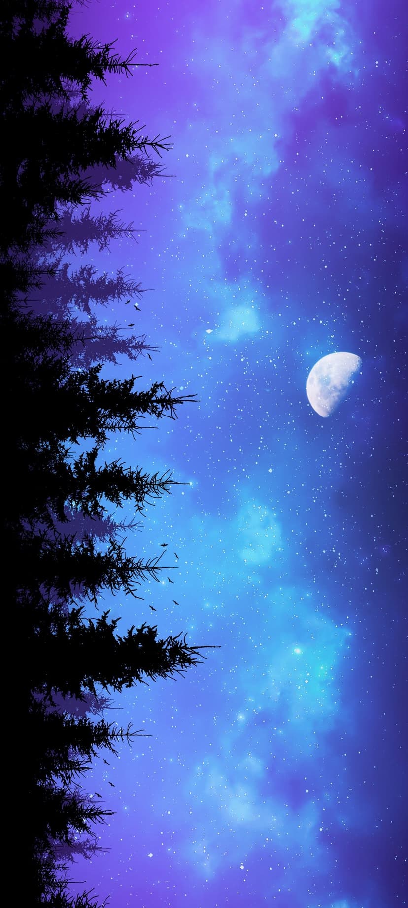 Pine tree silhouettes beneath a crescent moon and purple starry sky with a blue nebula and small flying birds.