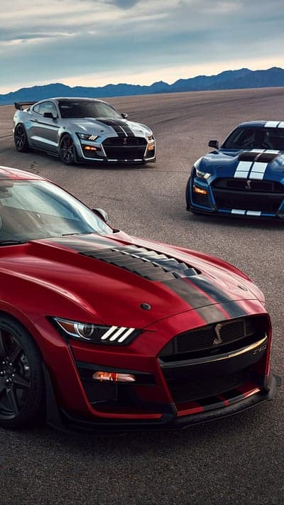 Three Ford Mustang Shelby GT500 Cars on Asphalt