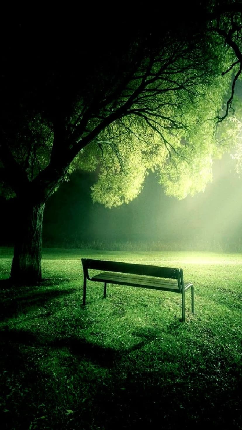 Lone park bench glowing under soft light on a green lawn with dark tree silhouettes and long shadows at night.