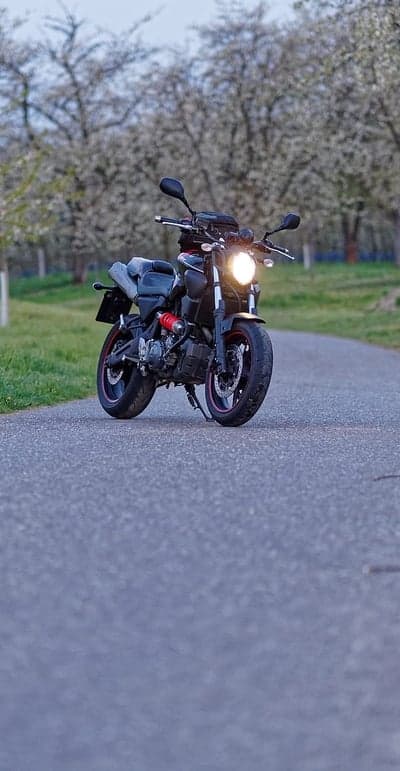 Motorcycle parked on a road lined with blooming trees