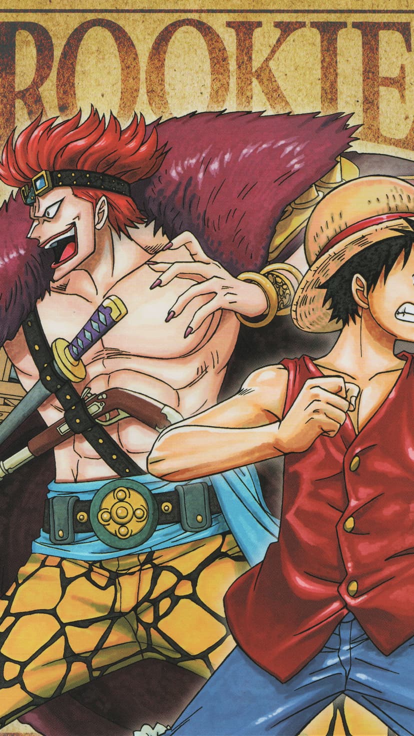 Eustass Kid and Monkey D. Luffy stand side-by-side with intense expressions and muscular builds near rookie text.