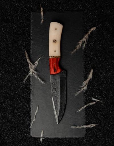 Artisan Knife with Bone Handle and Red Accents