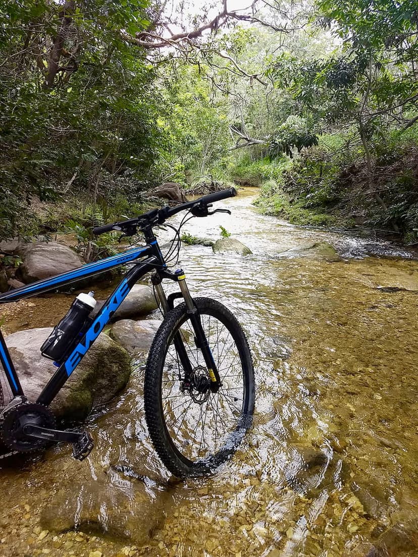 Black and blue mountain bike parked in a shallow forest stream with sunlight dappling off the water and rocks.