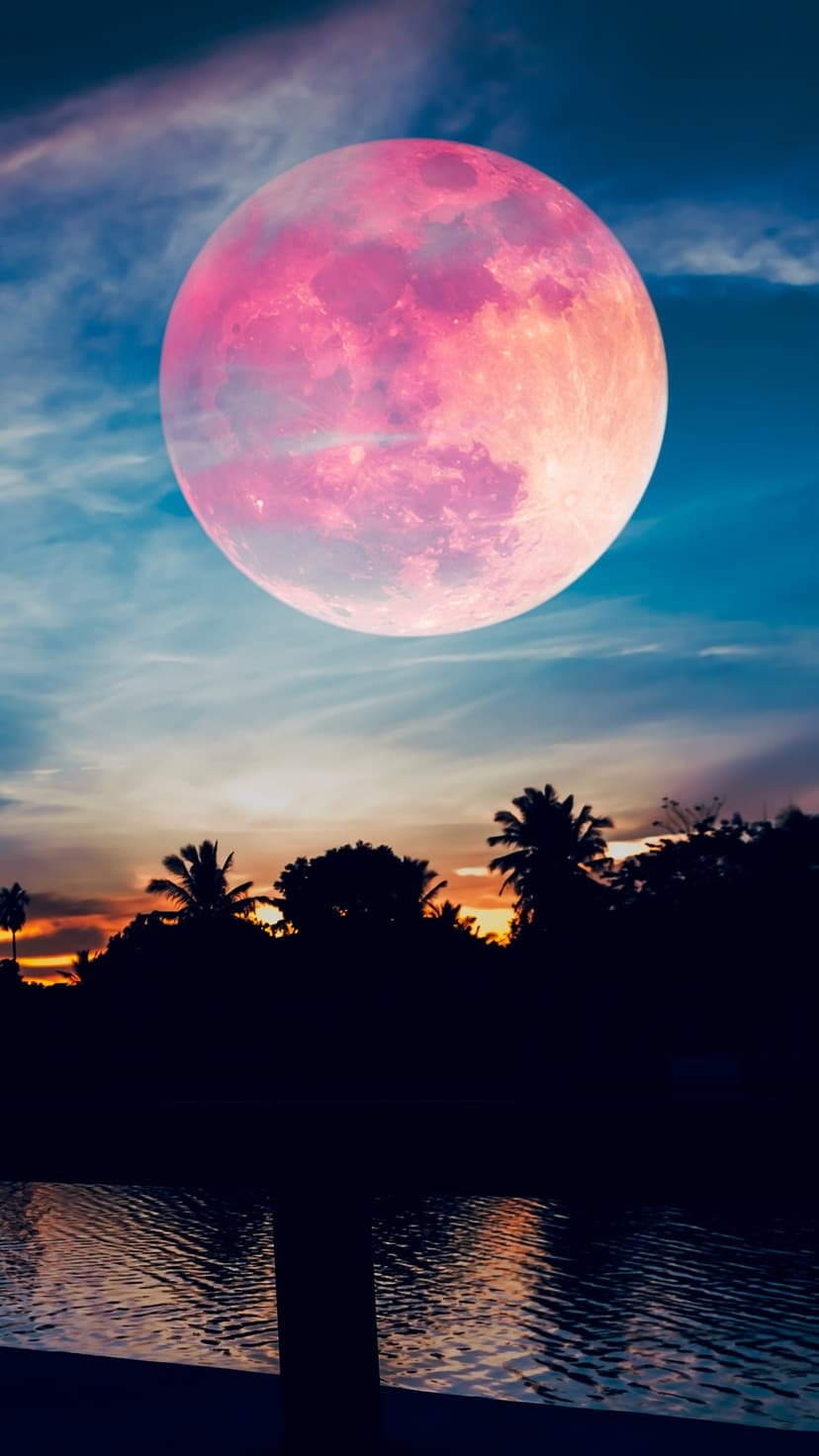 A giant pink moon rises over a calm lake and black palm tree silhouettes against a vibrant twilight sky.