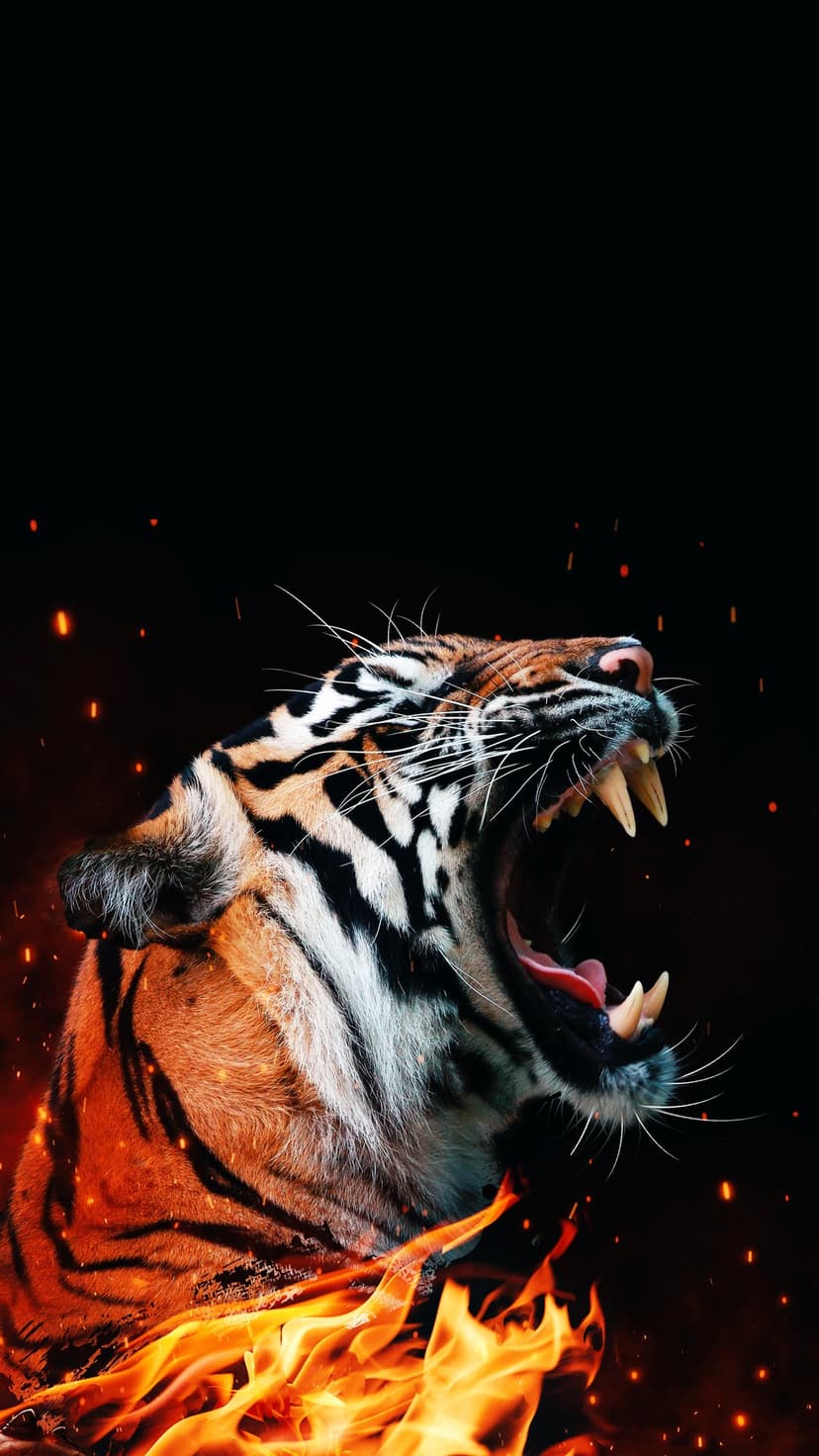 Bengal tiger with wide-open jaws roars amidst rising orange flames and sparks against a solid black background.
